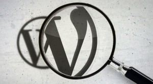 wordpress arama kaydı search meter